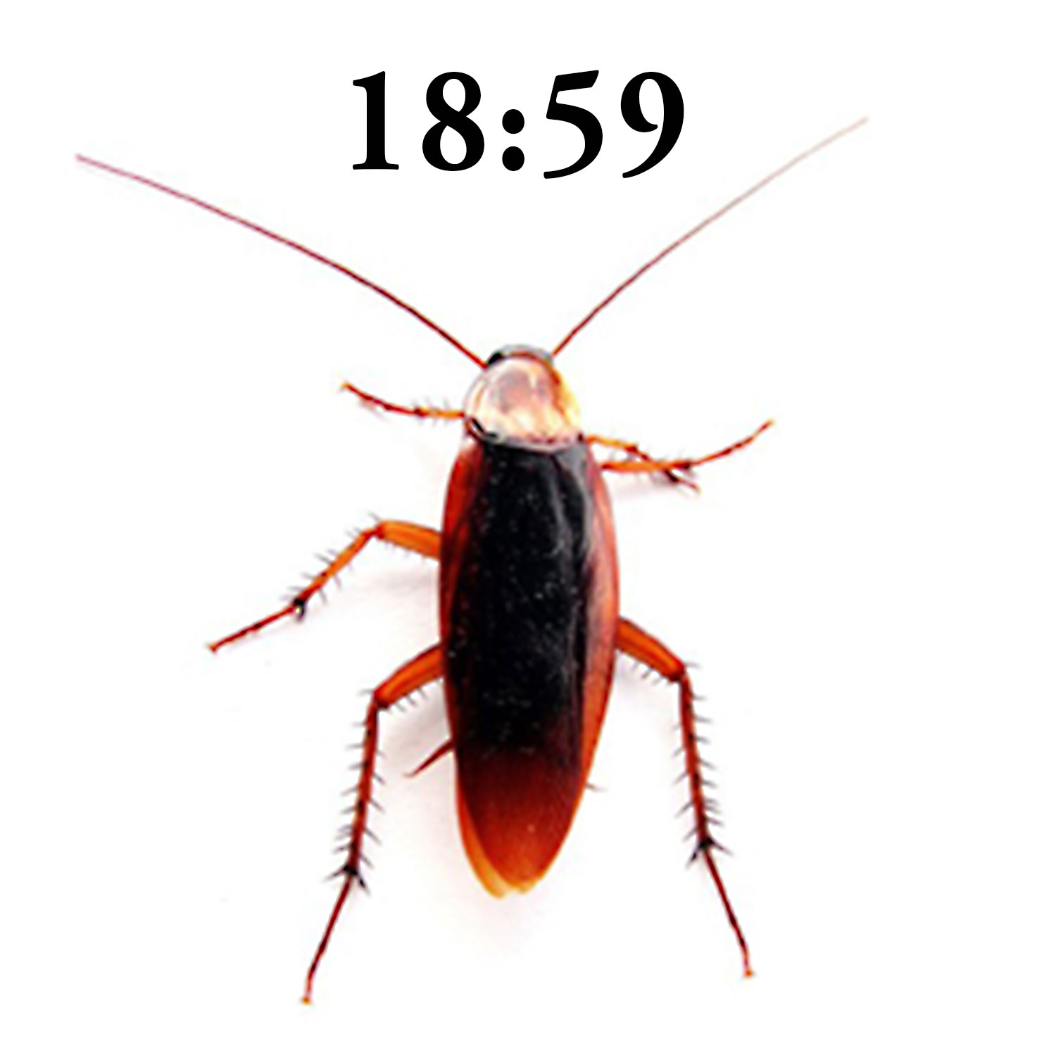 18:59 Podcast