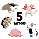 tattoo.jpg (310182 bytes)