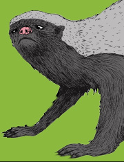 badger